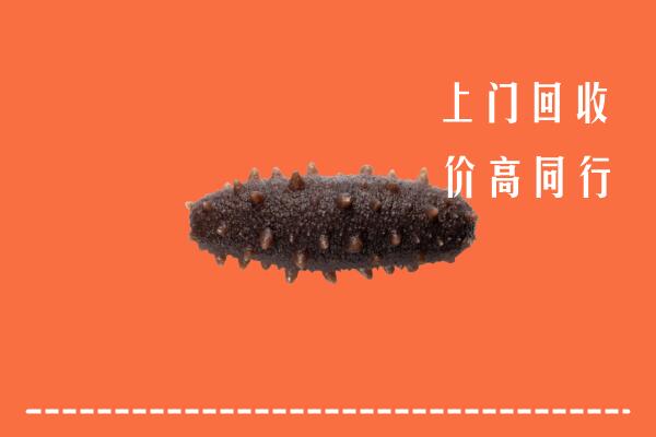 鹰潭市余江回收海参