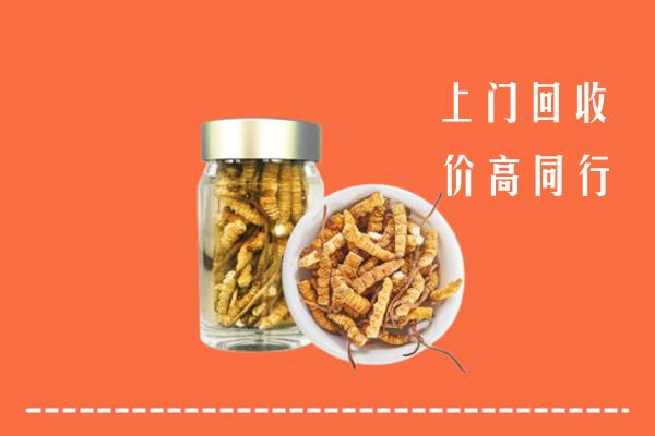 鹰潭市余江回收冬虫夏草